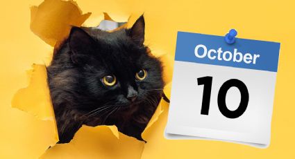 La razón por la que no debes dar en adopción gatos negros en octubre