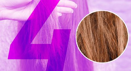 ¿Cómo revivir el cabello opaco y sin vida? 4 aceites naturales que regalan brillo