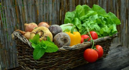 Alimentos de octubre: ¿Cuáles son las verduras de temporada en otoño?