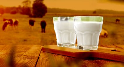 ¿La leche vegetal es más saludable que la leche entera? Expertos lo responden