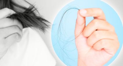 Pérdida de cabello: Razones por las que se cae más el pelo en otoño