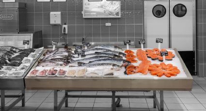 ¡Bajos en grasa y colesterol! Estos son los pescados más sanos para incluir en la dieta