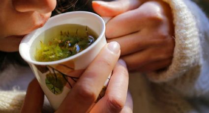¿Qué tés pueden tomar las personas con diabetes? 7 infusiones saludables
