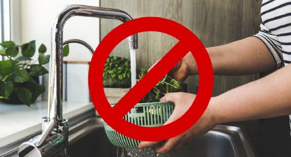 5 alimentos que no debes lavar con agua, según la OCU