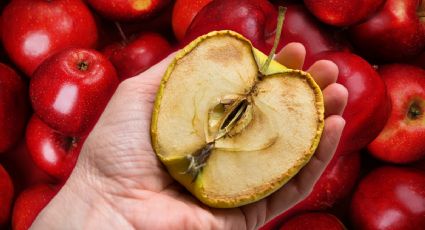 6 trucos para que la manzana no se oxide y dure más tiempo
