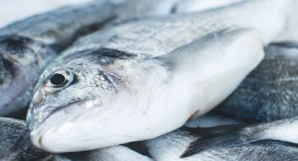¿Cómo descongelar el pescado sin que pierda su sabor? Truco con un ingrediente de cocina