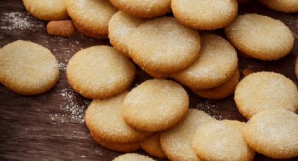 ¿Galletas maría caseras? La receta más fácil para prepararlas en 3 pasos