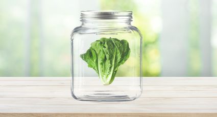 ¿Cómo conservar la lechuga en un frasco para que dure mucho más tiempo?