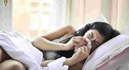¿Tienes gripe? Esto es lo que debes comer para sentirte mejor