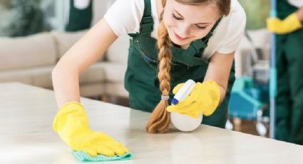 5 ingredientes de cocina perfectos para eliminar las moscas para siempre