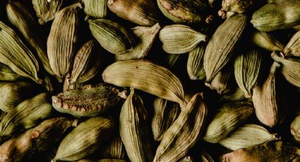 Cardamomo: ¿qué es y qué beneficios aporta a la salud?