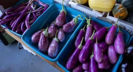 3 recetas con berenjena para disfrutar este invierno