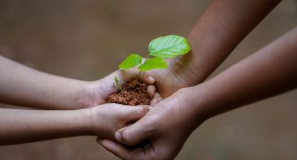 ¡Cuidemos el planeta! Técnicas para disminuir la basura de nuestro hogar