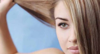 ¿Cómo ocultar las canas? Mascarilla de manzanilla y cúrcuma para cabello castaño