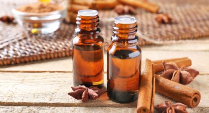 ¿Cómo preparar aceite de canela para prevenir el envejecimiento y producir colágeno?