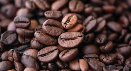 ¿Cuál es el origen del café? Te contamos los secretos de esta bebida