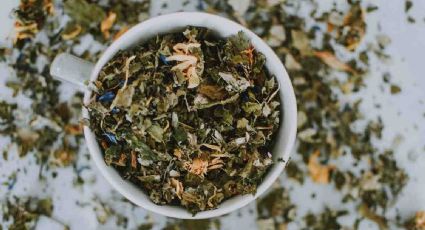 ¿Por qué tomar té verde diario? 5 beneficios para tu salud que tal vez no sabías