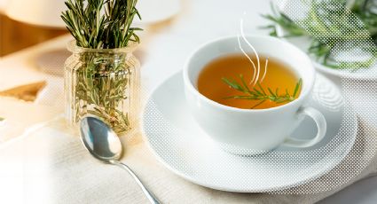 Té de romero: estos son sus increíbles beneficios para adelgazar y mantener un hígado saludable