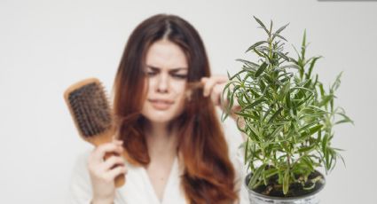 Así puedes utilizar el romero para evitar la caída del cabello