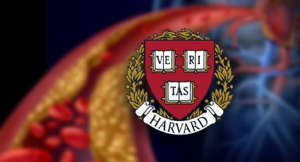 Conoce la advertencia de Harvard sobre los niveles de colesterol bueno