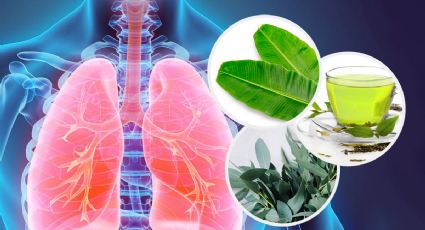 3 Plantas medicinales para limpiar tus pulmones