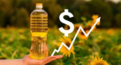 Inflación: cuáles son los productos que llevan aceite de girasol y subirán de precio