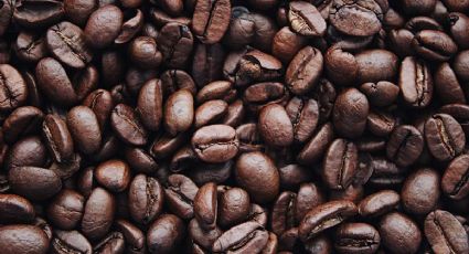 5 alternativas saludables si quieres reemplazar el exceso de café