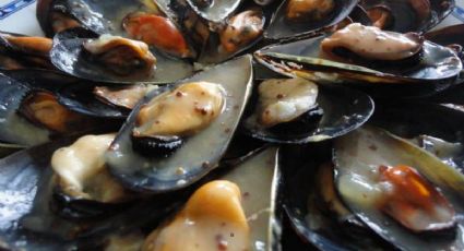 Cocina mejillones con salsa café de París (en 30 minutos)