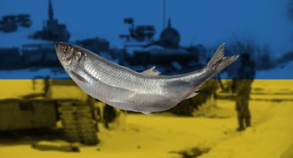 ¿Por qué el pescado es víctima de la guerra en Ucrania?