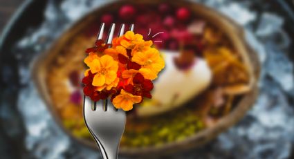 Flores comestibles: una tendencia culinaria en auge