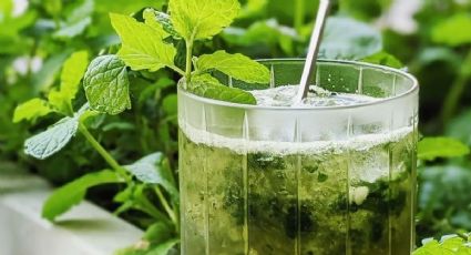 ¿Cómo preparar un Mint Julep?