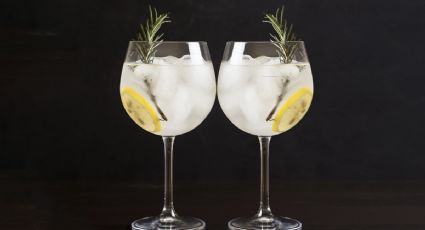 Conoce la diferencia entre la ginebra y el gin