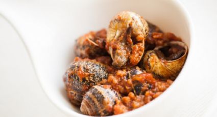 Prepara estos exquisitos caracoles a la madrileña