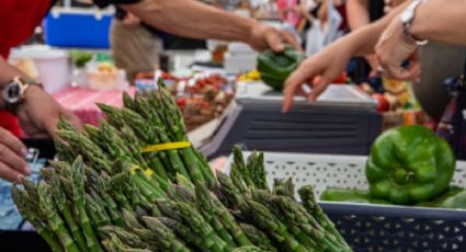 Comercializarán espárragos andaluces esta temporada: ¿dónde encontrarlos?