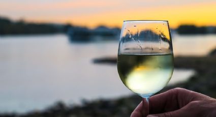 5 vinos de uvas blancas que no te puedes perder