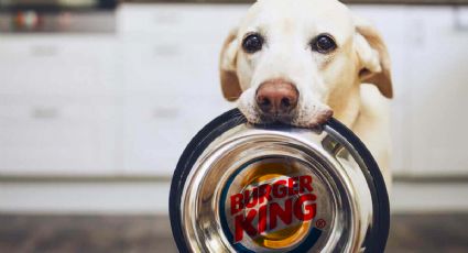 Este es el novedoso menú que Burger King tiene para tu perro