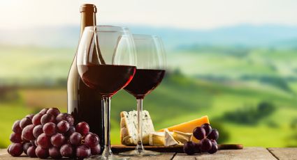 Vinos naturales o convencionales: ¿qué es mejor?