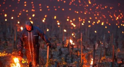 Así batallan los vinicultores con las bajas temperaturas en Francia