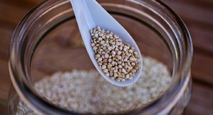 Conoce las virtudes y la forma de preparar este alimento del futuro: la quinoa