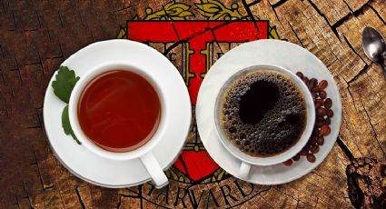 Té y café: esto es lo que opina Harvard de este tipo de infusiones