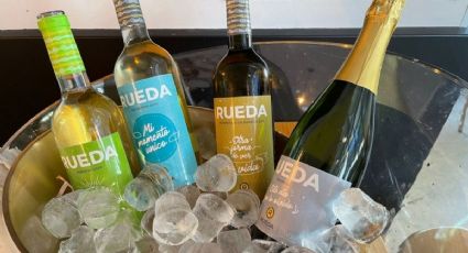 La D.O. Rueda califica de “muy buena” los vinos de la cosecha 2021