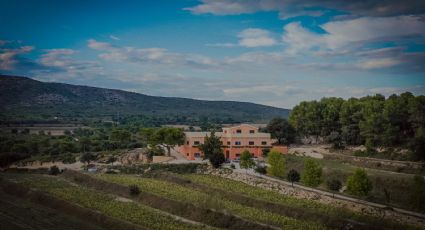 Conoce la nueva bodega valenciana que ofrece vinos de variedades ancestrales