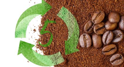 Ecología: 5 formas de reutilizar los restos del café