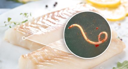 Descubre los pescados del mercado con más anisakis