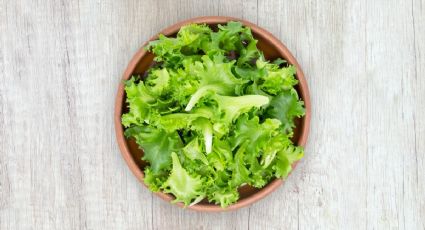 Imperdible: así puedes conservar la lechuga fresca para que dure más tiempo