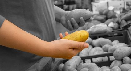 3 claves para comprar las patatas perfectas