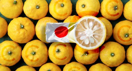 Repleto de vitamina C, estos son los increíbles beneficios del yuzu