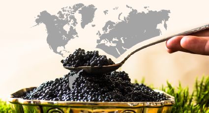 Caviar: cuál es su origen y dónde están los mejores del mundo