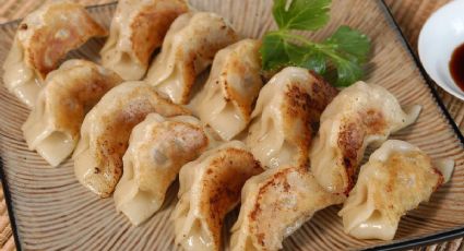 Gyozas de pollo: La receta más fácil de empanadillas japonesas