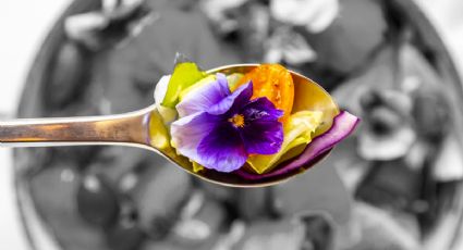 3 flores comestibles que no sabías que existían